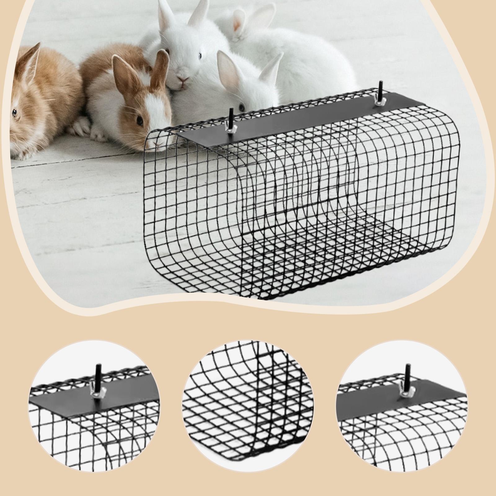 อุโมงค์ซ่อนตัวสำหรับเฟอร์เร็ต  - Rabbit Cage Wire บทวิจารณ์และราคา