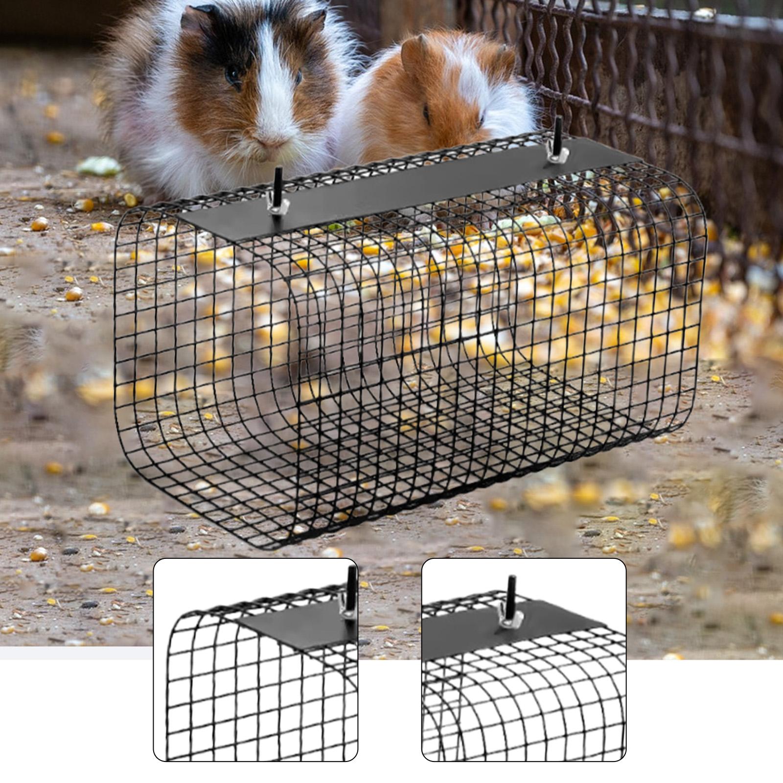 อุโมงค์ซ่อนตัวสำหรับเฟอร์เร็ต  - Rabbit Cage Wire บทวิจารณ์และราคา