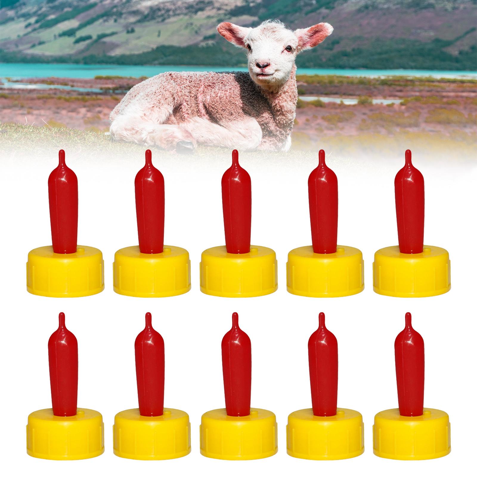 จุกนมยางนิ่มสำหรับแกะ แพะ ลูกแ - Agriculture Farming Livestock บทวิจารณ์และราคา