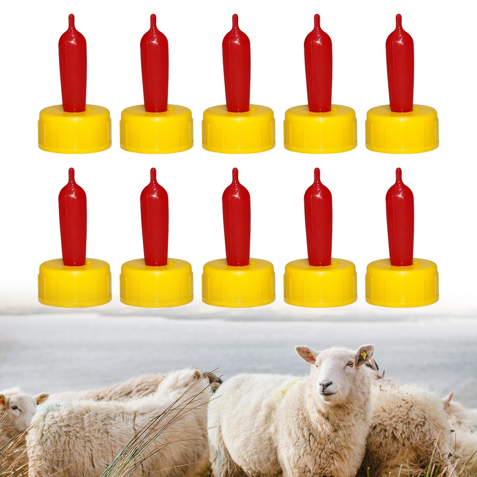จุกนมยางนิ่มสำหรับแกะ แพะ ลูกแ - Agriculture Farming Livestock บทวิจารณ์และราคา