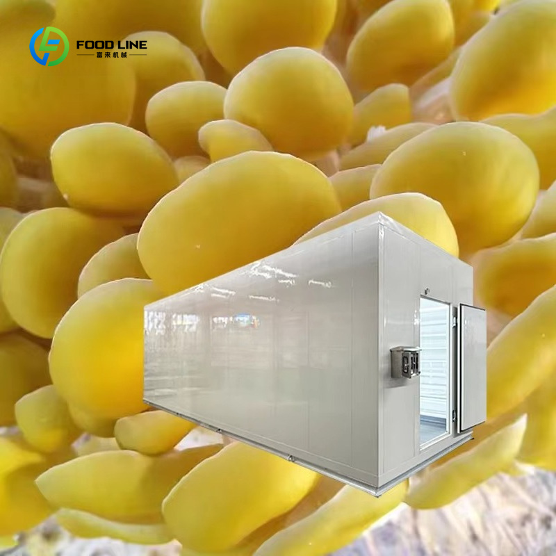 เทคโนโลยีการปลูกเห็ดอัจฉริยะด้ - Agriculture Farming New Technology บทวิจารณ์และราคา